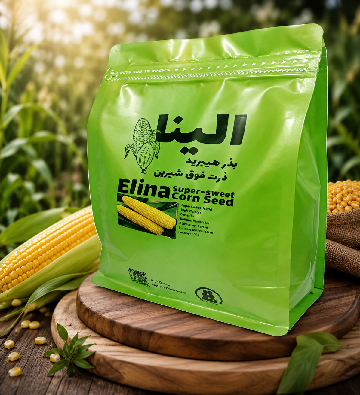 بذور هیبرید ذرت شیرین و فوق شیرین